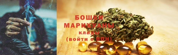 молекула духа Горно-Алтайск