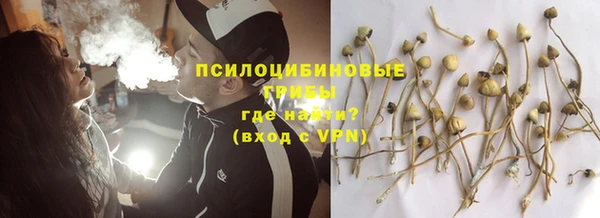 MDMA Premium VHQ Горнозаводск