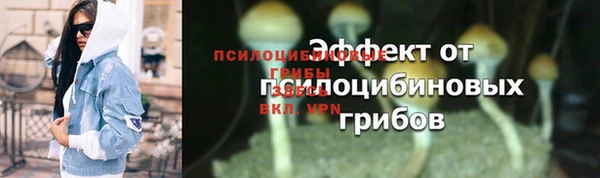 ALPHA PVP Гусь-Хрустальный